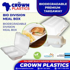 Environmentally Friendly Compostable Disposable Meal Box 2 Division